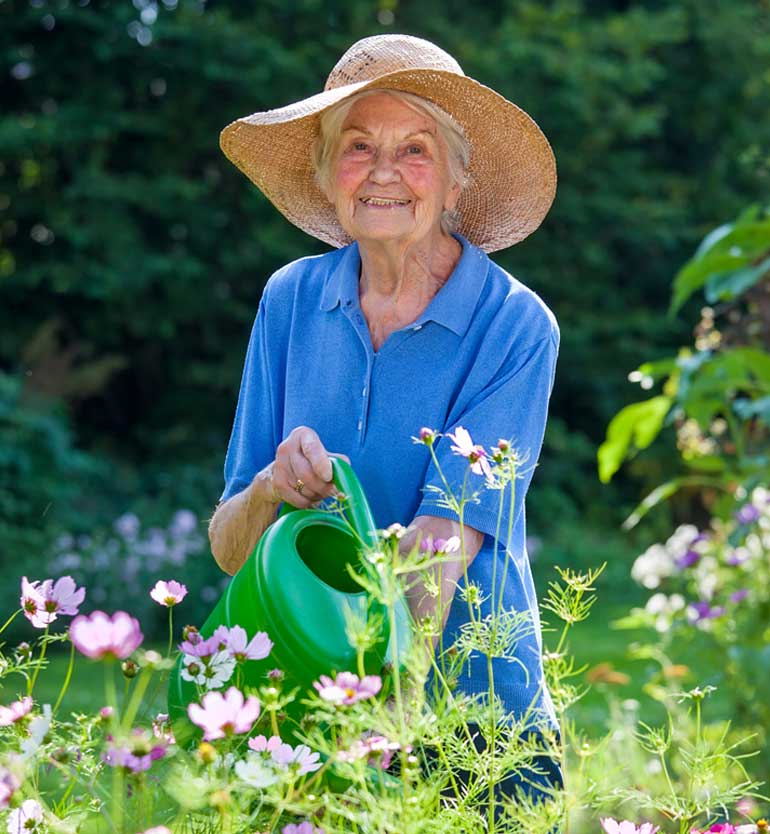 senior-gardening An elderly woman in a blue shirt and straw hat is watering flowers in a lush garden with a green watering can.