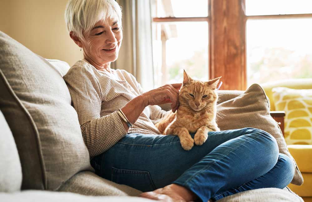 memory-care-floorplans Elderly woman sitting on a couch with a cat on her lap, smiling and looking content.